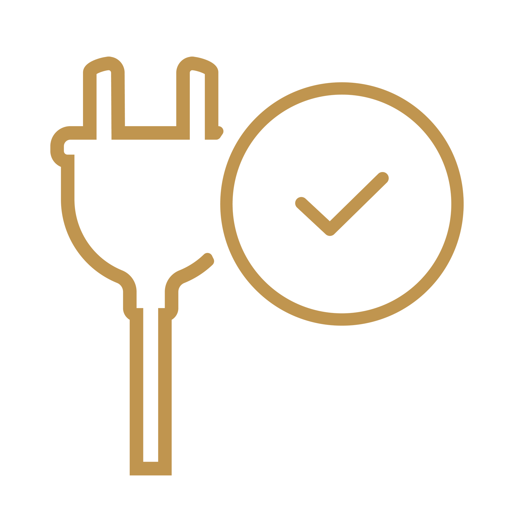 Echotec Icons Installation & Setup