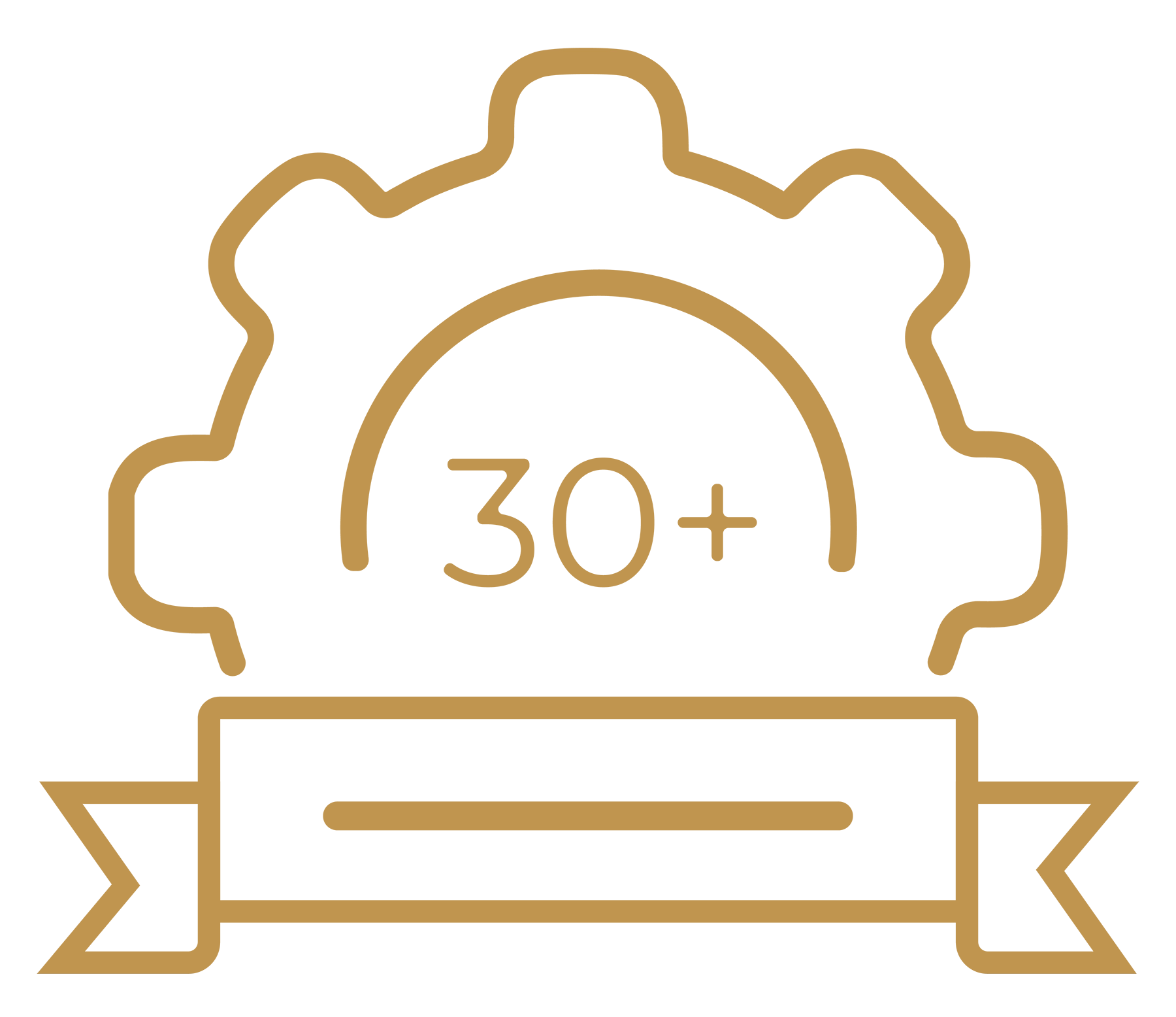 30+ Years of Expertise