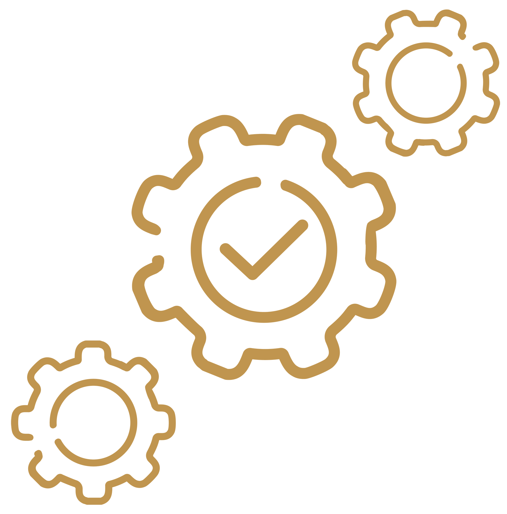 Heavy-Duty Belt Driven System